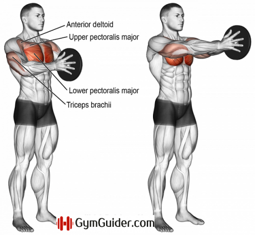 6 The Best Non Bench Chest Exercises! - GymGuider.com