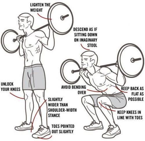 Squats Vs Leg Press - Which Exercise is Better - GymGuider.com