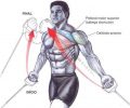 SuperSet Chest Workout - The Best 4 SuperSets For Bigger Chest ...