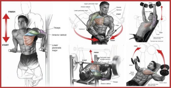 Perfect 7 Techniques To Build The Upper Chest - GymGuider.com