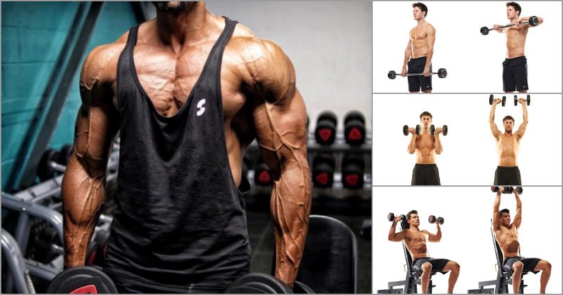 Ways To Shape And Form Your Shoulders - GymGuider.com