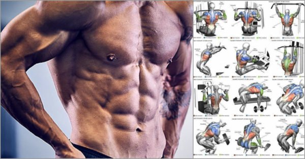 Build Lean Muscle Mass With These 4 Easy Life Hacks - GymGuider.com