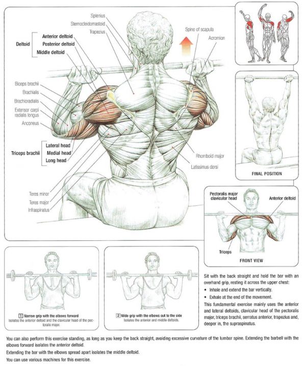 Mastering The Shoulder Seated Front Press: Guide, Form, Flaws, Set Up ...