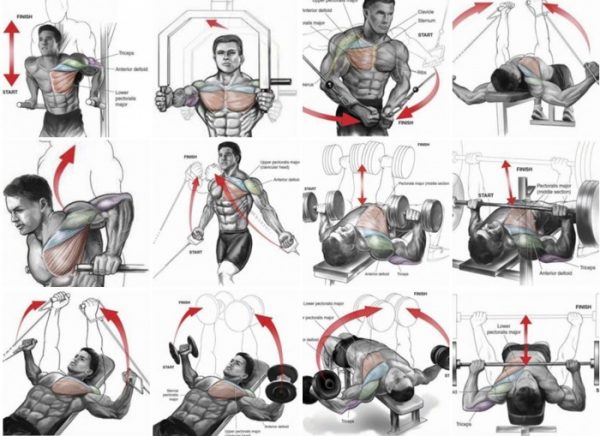 8 Tips With A Guide For Building A Bigger Broader Upper Chest ...