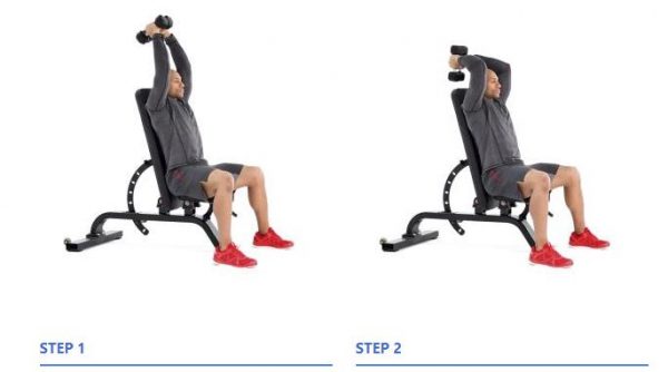 Mastering Seated Triceps Dumbbell Press Guide Form Flaws Set Up And Execution