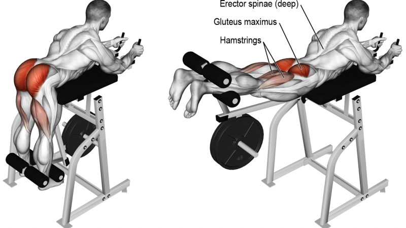 back-extension-by-moneesh-p-exercise-how-to-skimble