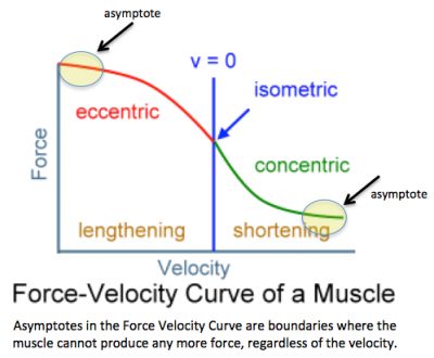 Isometric Contraction Training Method - Break Growth Plateaus ...