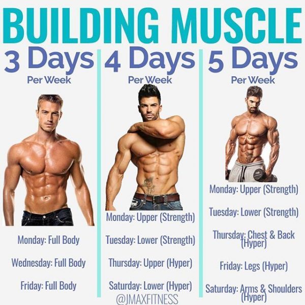 8 Powerful Muscle Building Gym Training Splits - GymGuider.com