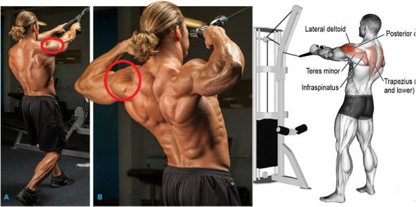 The 4 Best Exercises To Create 3D Shoulders - GymGuider.com