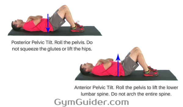 Supine Pelvic Tilts Step By Step Guide