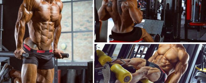 The Push Pull Legs Workout Routine for Massive Size Gains