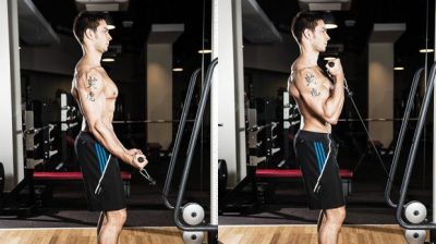 The Best Bulging Bigger Biceps Workout To Grow Your Arms - GymGuider.com