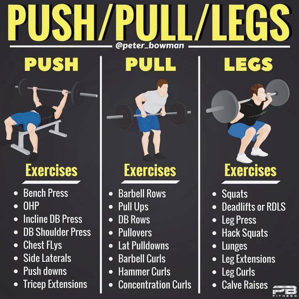 Legs Size Chart