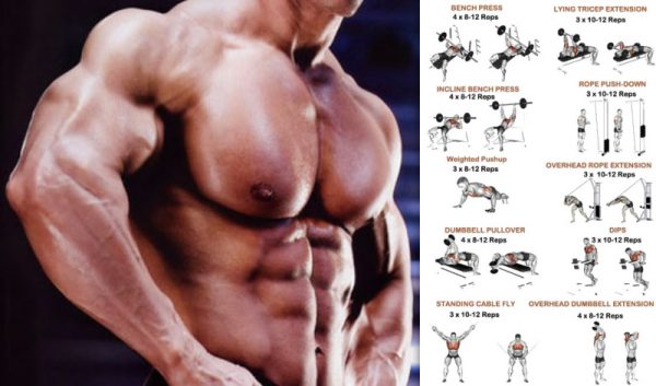 Muscle Defining Superset Shocker For Chest And Triceps - GymGuider.com