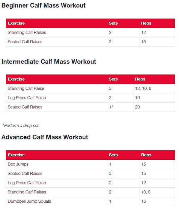 Calves Workout Routine